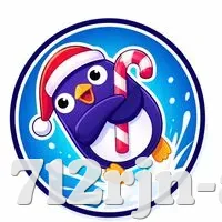 安全登录器